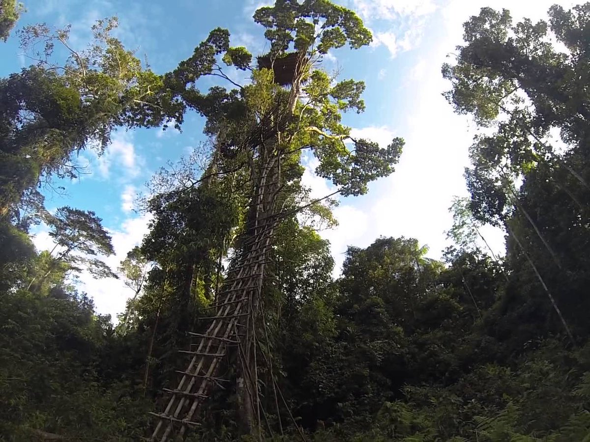 bieb040's tweet image. Komende zaterdag is het Groen Café speciaal voor kids! Met verhalenverteller Tom, @NatuurSUPER en @Proeftuin040. ow.ly/50r030bRo2M
