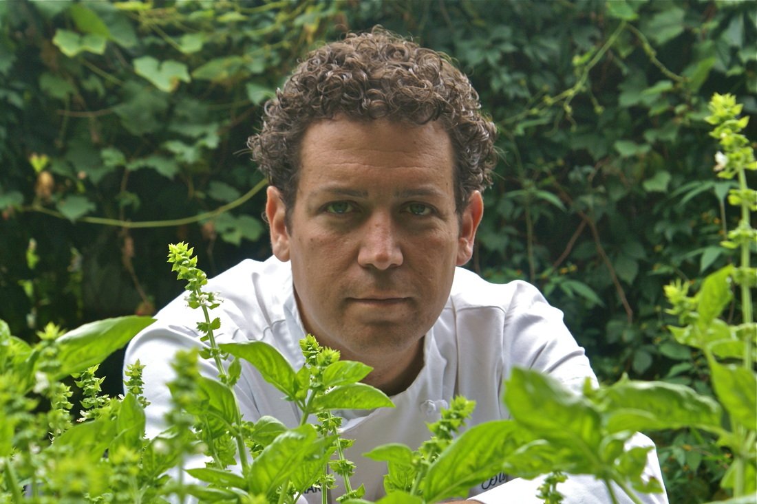 CancerFungus's tweet photo. New video interview by Marcus Guiliano. "Chef on a mission" About the system, cancer, genetics and many examples https://t.co/mvwghPHZna https://t.co/kyw5PC5Nb4