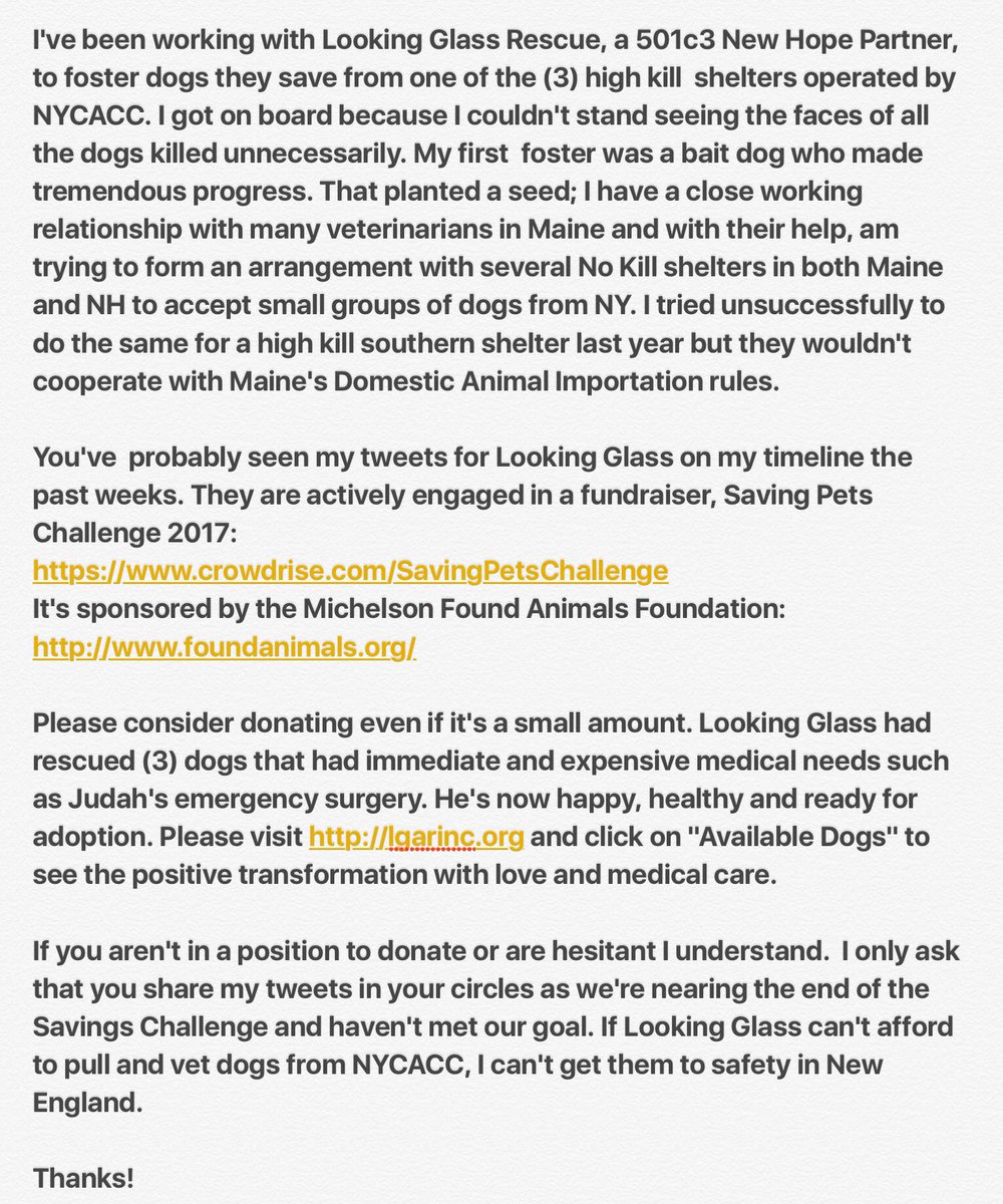 DQ_GSD's tweet photo. #NYCACC #KillFactory #Help me to help #Save #Dogs Their lives matter! #Rescue #AdoptDontShop #LookingGlassAnimalRescue https://t.co/kKaRdHwcsH