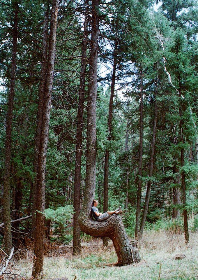monknews's tweet photo. I find the concept of Native American #markertrees fascinating; wooden GPS signals. https://t.co/EdPtMtEupO