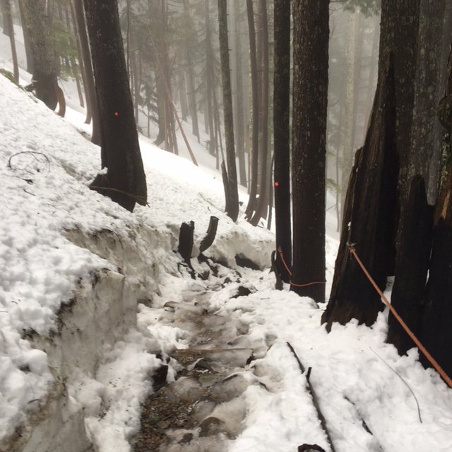 MetroVancouver's tweet photo. Attention hikers: The #GrouseGrind is still closed for the season. The alpine trail is unsafe due to ice &amp; snow. https://t.co/ZrBp2dbmUE https://t.co/nWHa1zIRFb
