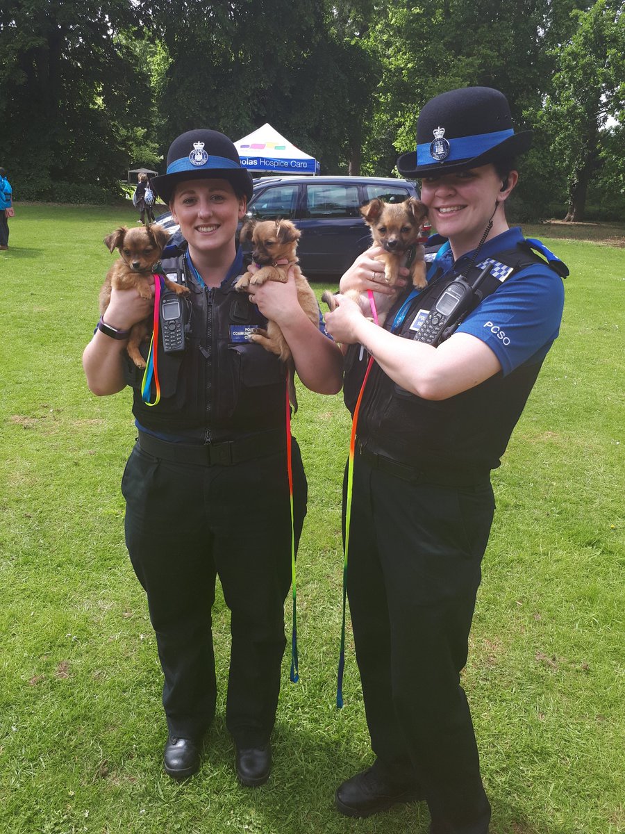 SNT at Paws In the Park today...we met lots of wonderful dogs and their owners all supporting <a href="/stnichhospice/">St Nicholas Hospice Care</a>