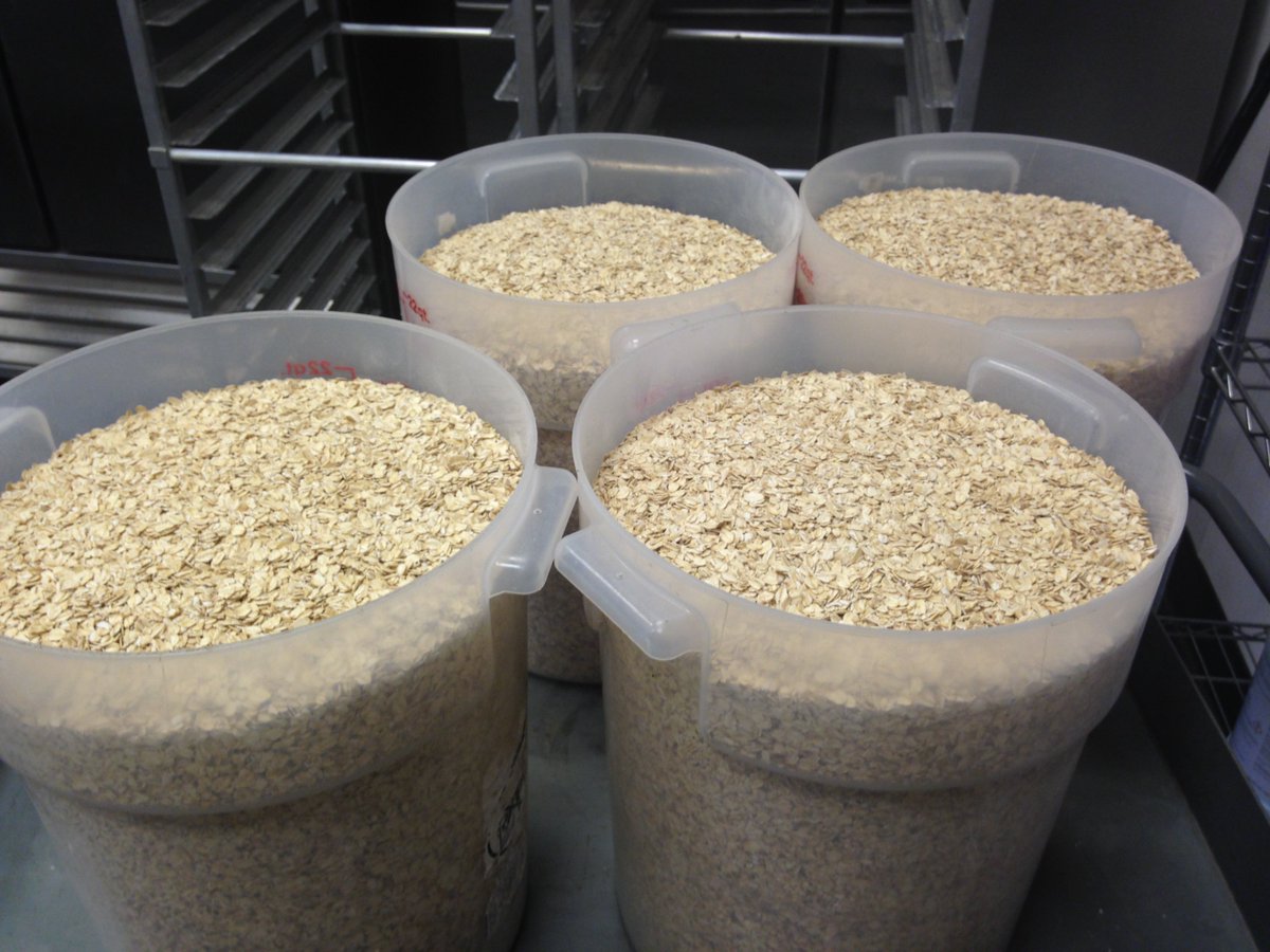 DogaBetix's tweet photo. Used sparingly, oats provide fiber and fiber plays an important role in managing sugar levels #diabeticdog #diabeticdogtreats https://t.co/90hEK00fFR