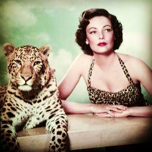 ACHwink's tweet photo. Mood 🐯
.
#mood #lifestyle #Sunday #leopard https://t.co/leU2KJXMMB