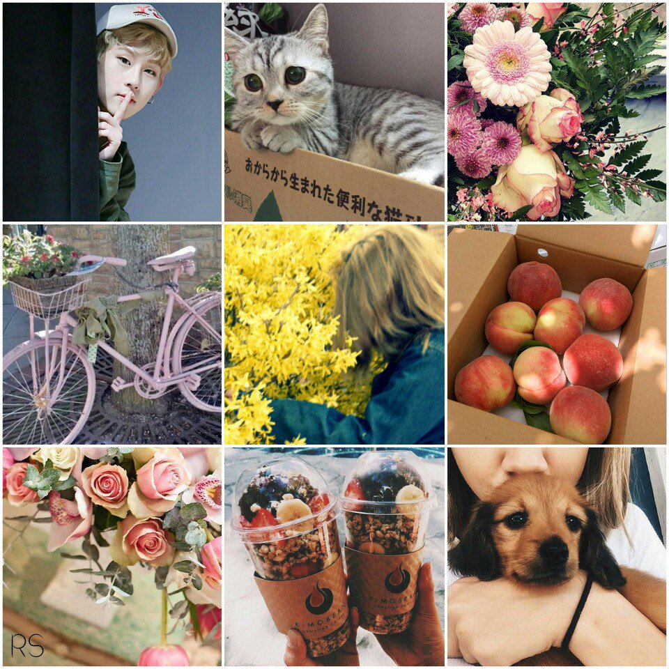 NatL_collage's tweet photo. #JooNat https://t.co/vL8MqMPQBp