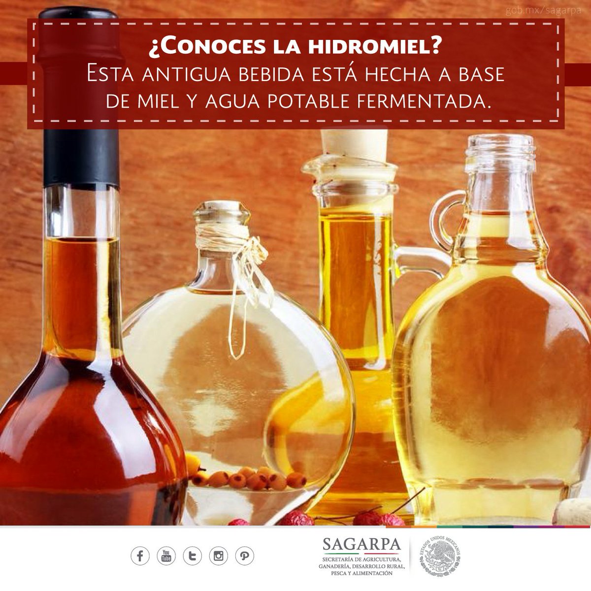 Agricultura_mex's tweet photo. Hidromiel la bebida de los dioses. Existen variaciones en su preparación y es comercializada como Cerveza Artesanal
https://t.co/m5MiWeMTHu https://t.co/kGhA1ccKnL