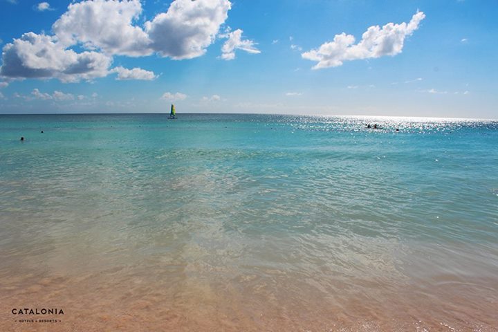 CataloniaHotels's tweet photo. ¡Aunque no lo creas, esta maravilla existe!
🌞🌴 https://t.co/PDu8JmDlKF<<<
#BeachDay #LaRomana #ExploreRD https://t.co/YO7tZSVPv6