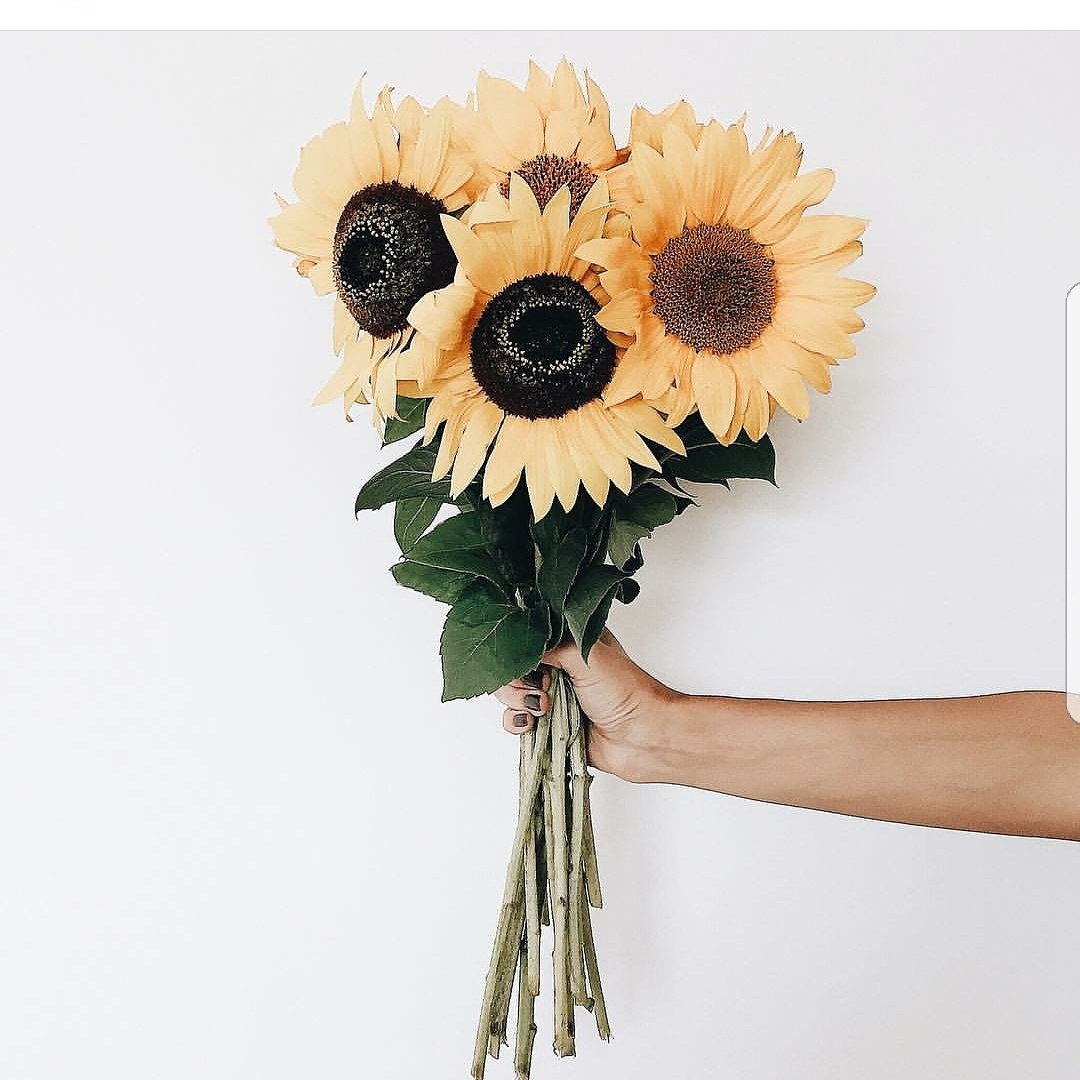 LacQrd's tweet photo. Happy #sundayfunday π»π»π»
#LacQrd #LacQrdSalonOnDemand #GotLacQrd #sunflowers #sundayvibes #yellowweek #yellowseries #sunnysocal #sandiego https://t.co/1dxa76uPMq