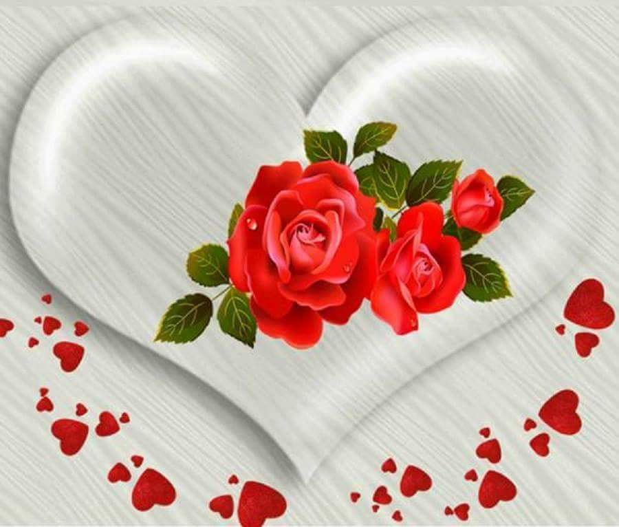 ذات مساء ، إشتعل في قلبي الحنين ولا أحد يعلم ~

مساء الورد