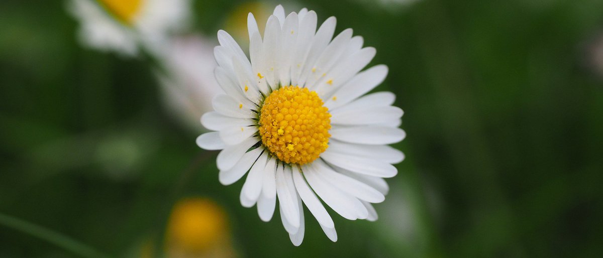 Menopausal in my teens: Amy's story bit.ly/2lbjPUc @thedaisynet