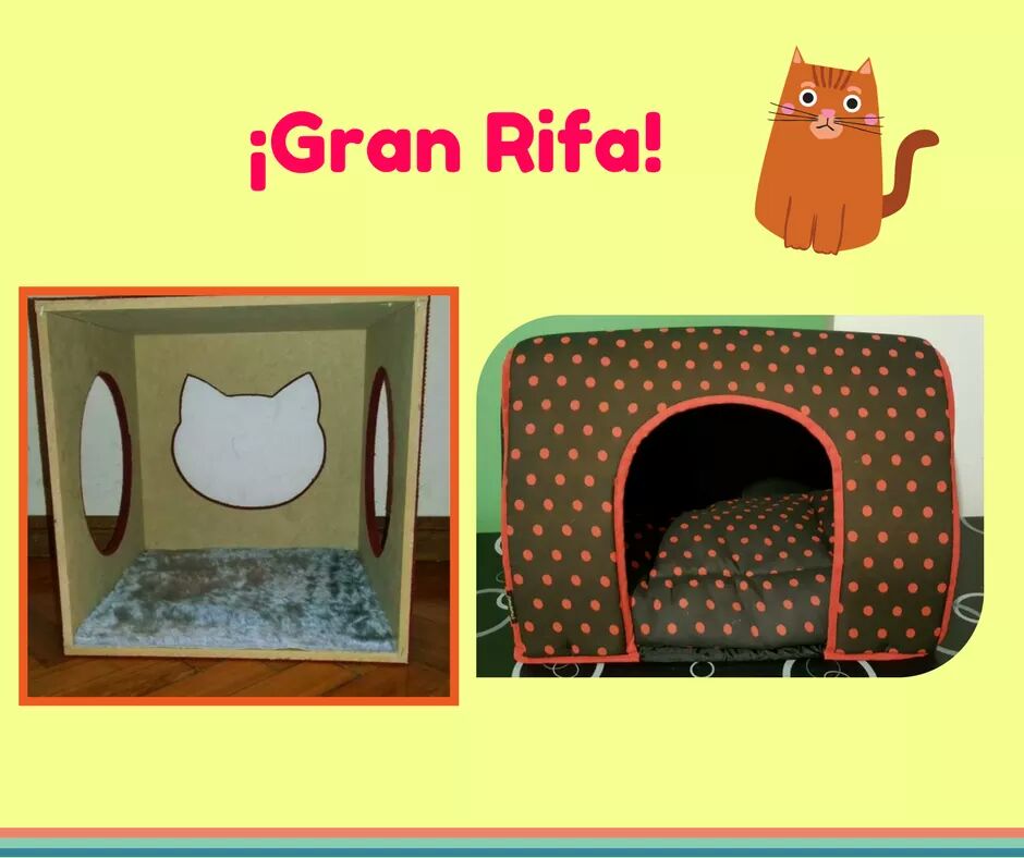 hacefelizungato's tweet photo. Gran rifa a beneficio de los gatos abandonados en el botánico. Cada rifa sale $40. Adquirí la tuya: https://t.co/bOSmphPj35 https://t.co/I2nWURarId