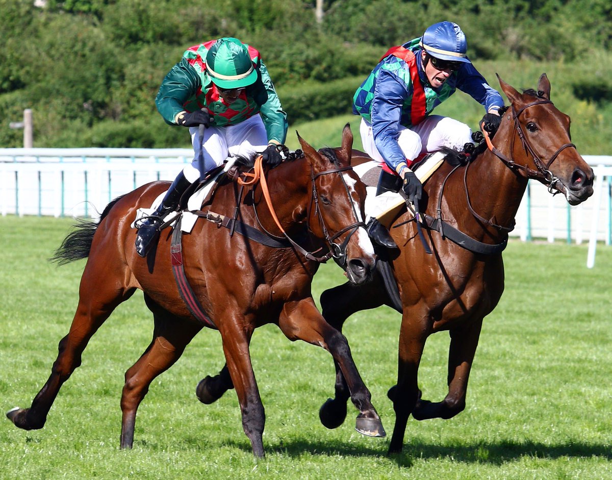 weekendturfcom's tweet photo. Magnifique lutte dans le Ferdinand Dufaure entre #Srelighonn (@GaetanMasure) et #DaliaGrandchamp (D. Gallon) pour un doublé @EcurieNicolle 👍 https://t.co/aJyu7lfffQ