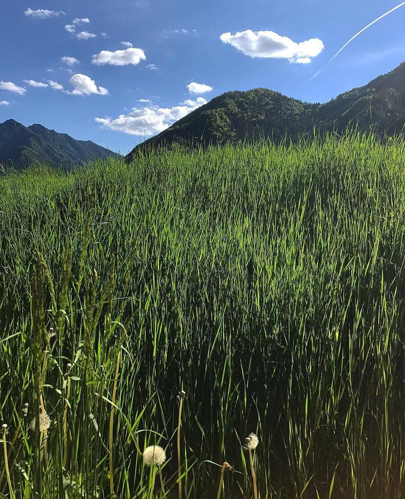 Macfan1963's tweet photo. Orizzonti Blu #yallersitalia #nikonitalia #vallediledro #vallediledronature #natura_love_ #naturalbeauty #instanature #instaledro #lenzumo https://t.co/lytfChMuHc