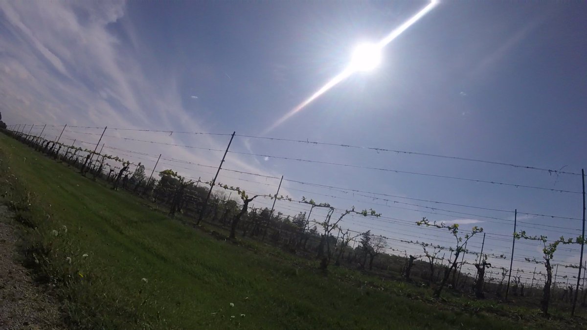 Long Weekend riding with #NiagaraCyclingTours. Contact us for bookings at niagaracyclingtours.com. FREE <a href="/gopro/">GoPro</a> video included with tours