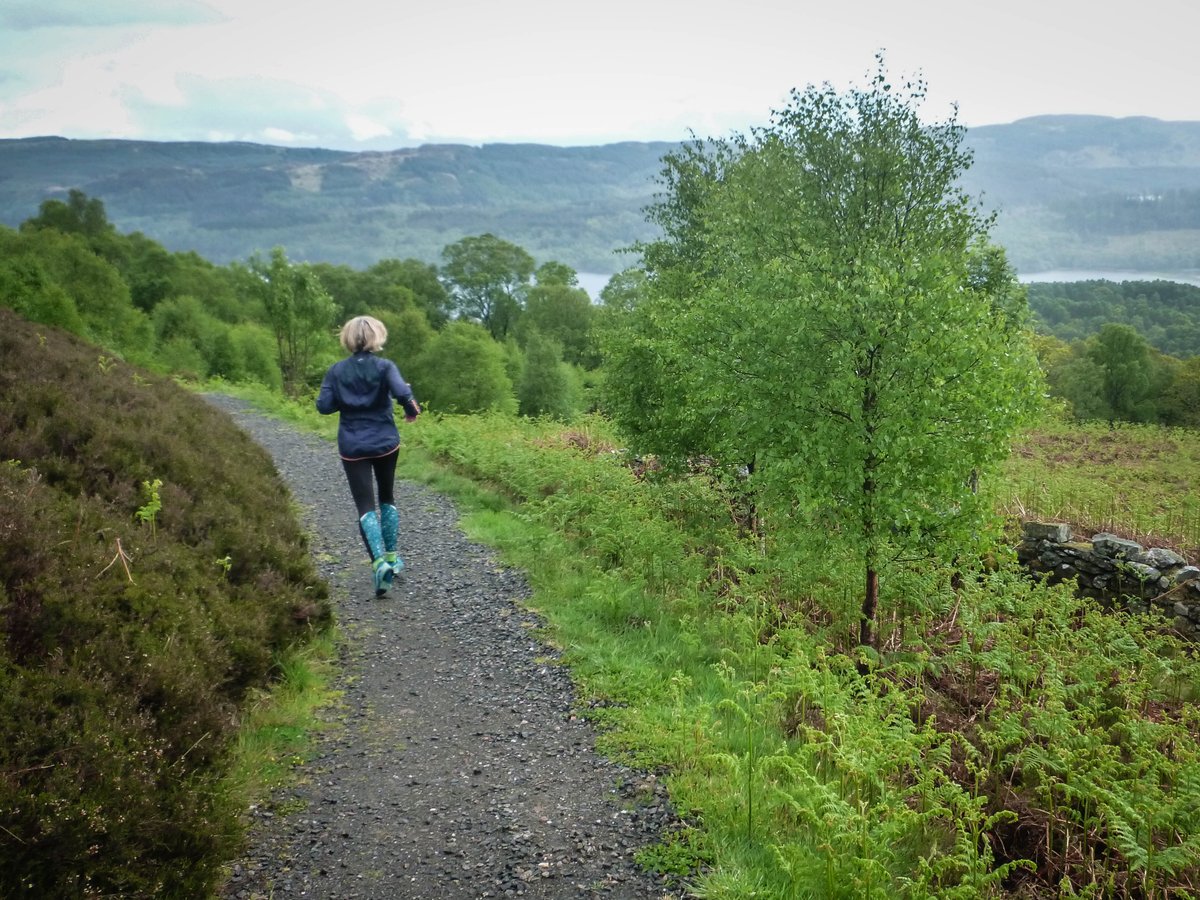 PJ Wilson 🎽 tweet media