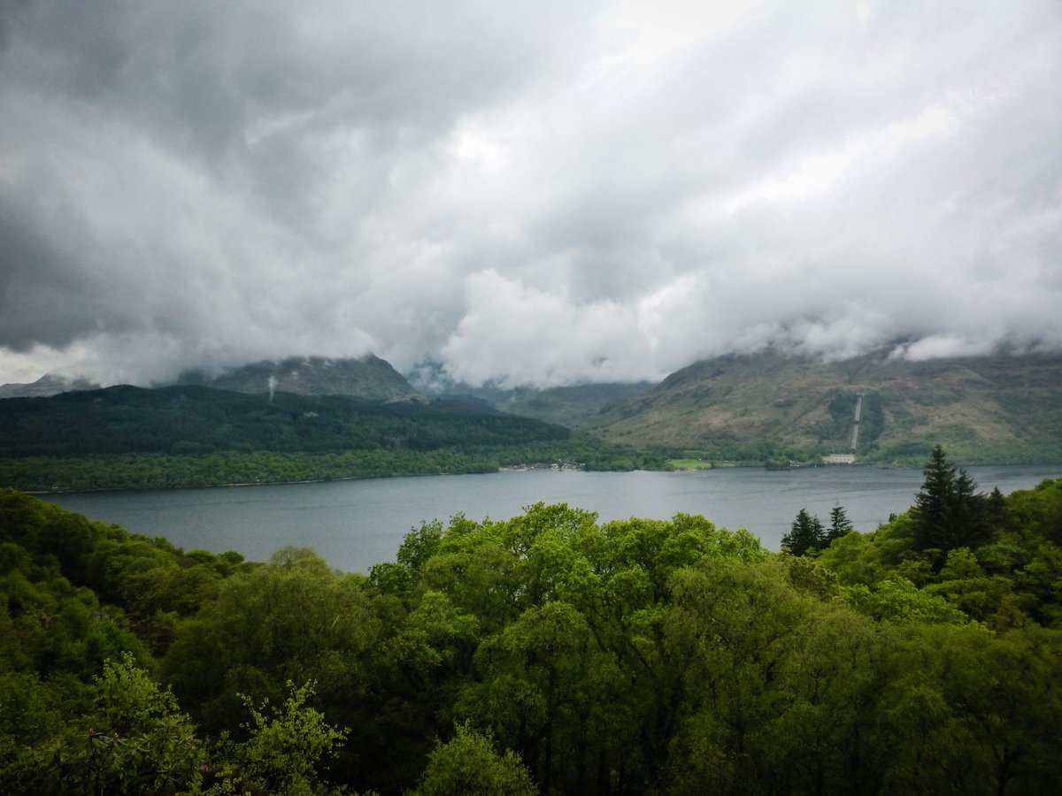 PJ Wilson 🎽 tweet media