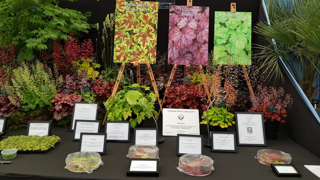 plantagogo's tweet photo. This is the left side of our #rhschlesea display were doing a Linley (educational) instead of a floral displayHopefully the judges like it! https://t.co/FL2vbwaG57