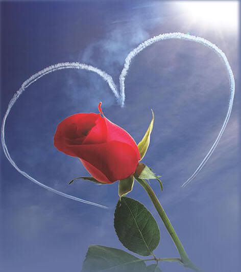 مساء الخير الكل من كان
في قلبه ذرة من صدق
ذرة من احساس
ذرة من مشاعر
مساء الخير لكل القلوب الطيبه❤️

🌹...