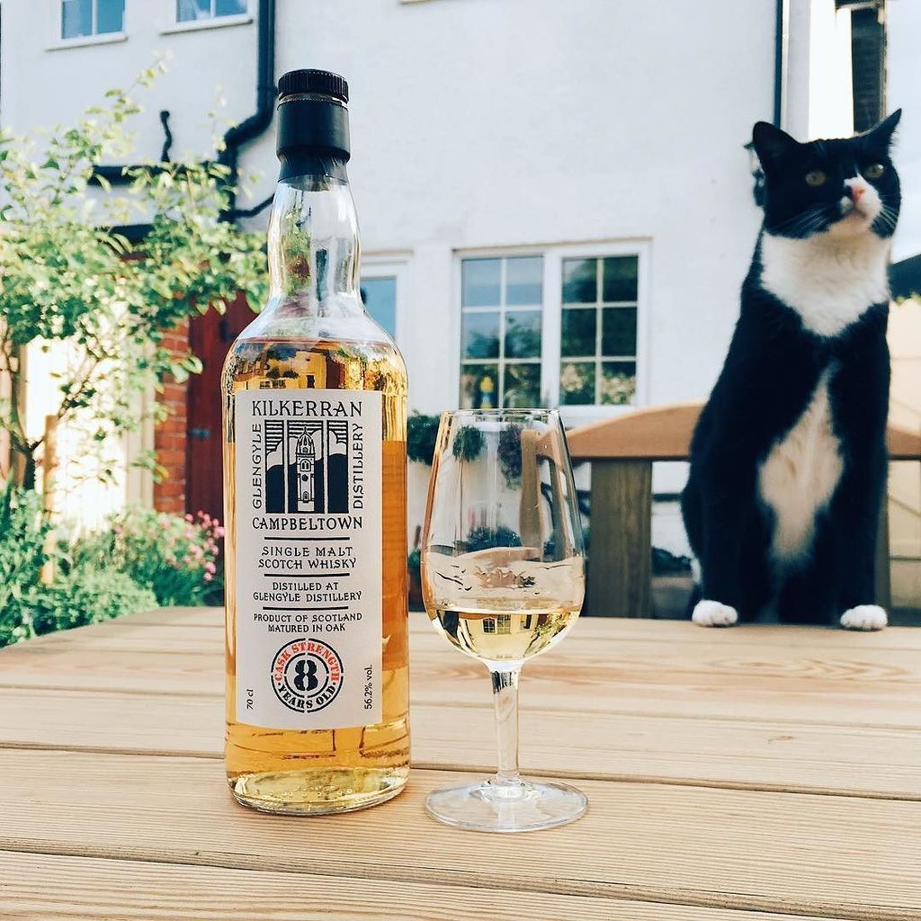 MrMarkNewton's tweet photo. My cat is an idiot. Here I am trying to arrange some pretty photo and she photobombs the bottle shot.
.
.
#singlem… https://t.co/zut6JCqSIW https://t.co/0rhnXybrFU
