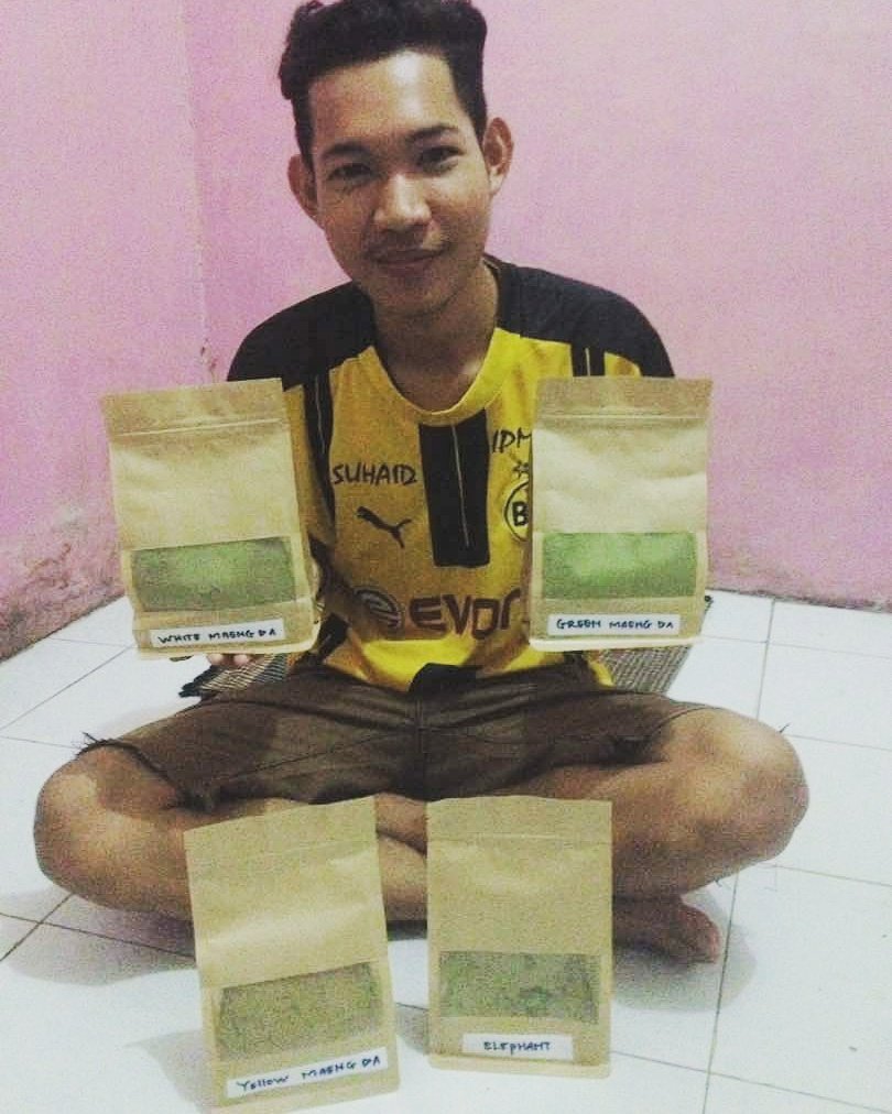 kratom_shop_'s tweet photo. Hello, introduce.

my name: Muhammad Darmawan

interested? 

Inbox me here
email: muhammaddarmawan09@gmail.com
WhatsApp: 085717514786 https://t.co/6hYuRYIx6q