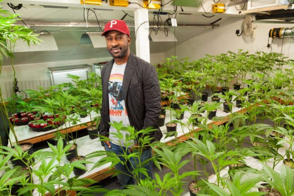 MendocinoGroup's tweet photo. 17 black-owned #cannabis businesses you should know https://t.co/pjxKetGTgH via @TheBlackWallSt https://t.co/u5qDhKP3mQ
