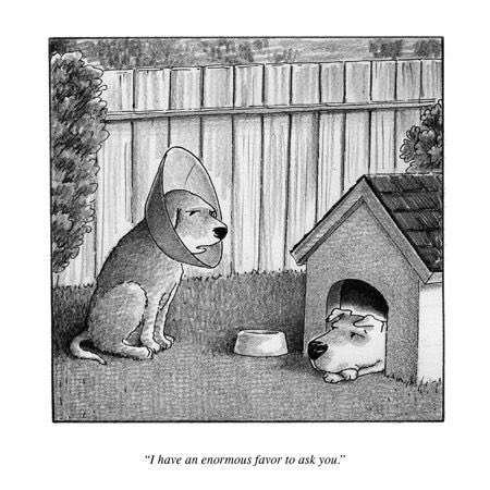 B2Bbizbuilder's tweet image. "Listening, not imitation, may be the sincerest form of flattery" Dr. J Brothers pic @NewYorker #LearnDevSolutions @KAIPartners @DKsUniverse