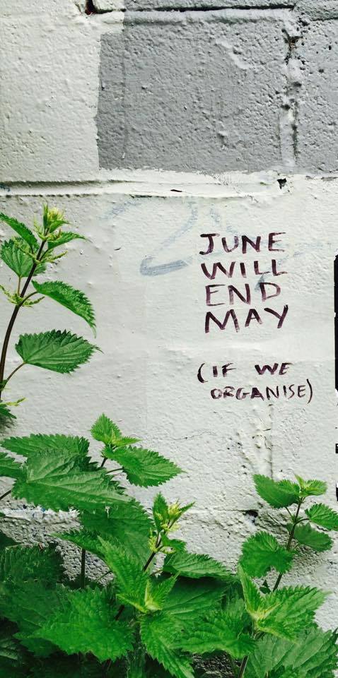 IsaCosovel's tweet photo. We will organise 🦎🦎🦎 #June #will #end #May https://t.co/TECJIHnWRF