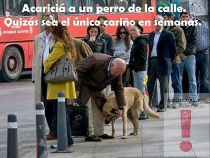 elcosodelapizza's tweet photo. Asi es https://t.co/qXOrJzcqLJ