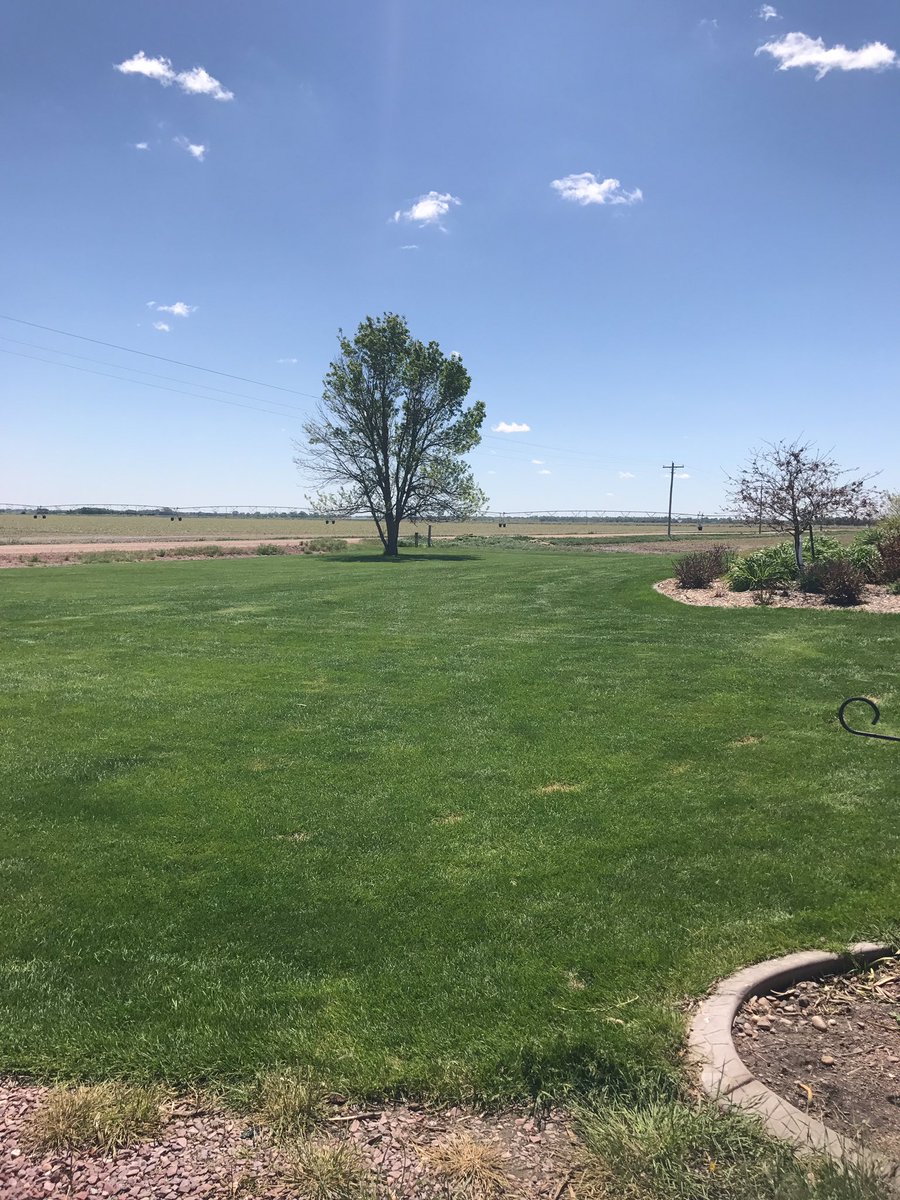Hskrvsn's tweet photo. The lawn cut some record tonnage today! #rainmakesgrass https://t.co/SjAGzOLb5y