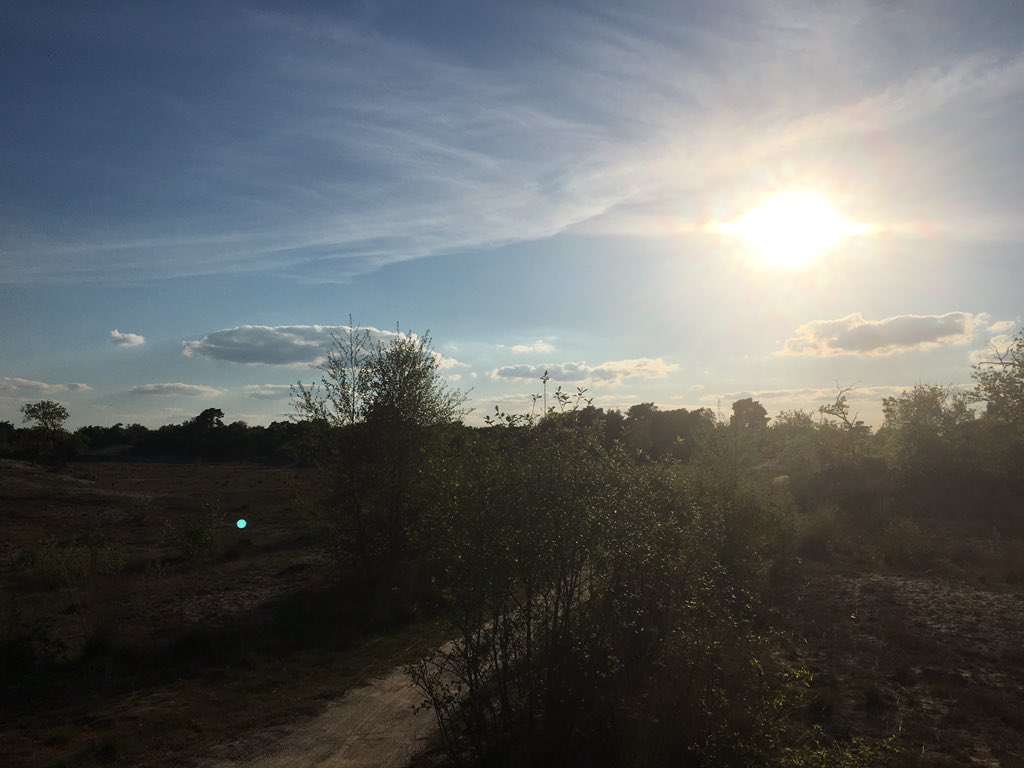 XanderBeks's tweet photo. Stalen paard weer van stal gehaald😎 laat de zomer maar komen #mtb #ddjab https://t.co/9llJIutLSi