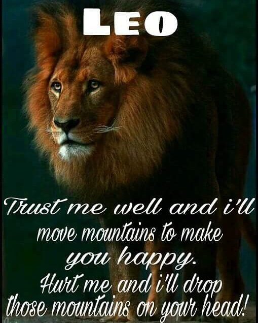 henrive2's tweet image. Yup