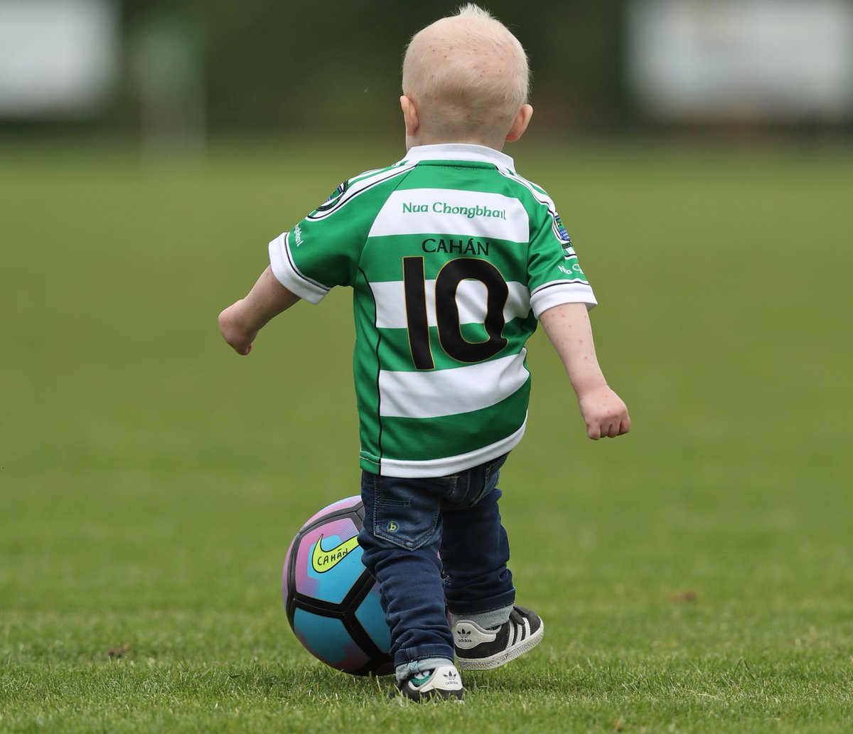 desmondloughery's tweet photo. This is Gaa at its best today @FaughanvaleGAA @sheenamjackson @Doiregaa @MKBurke1 @Doiregaa @Micky_Tips @ILoveNorthCoast @irishnewssport https://t.co/U6Nd4du2t1