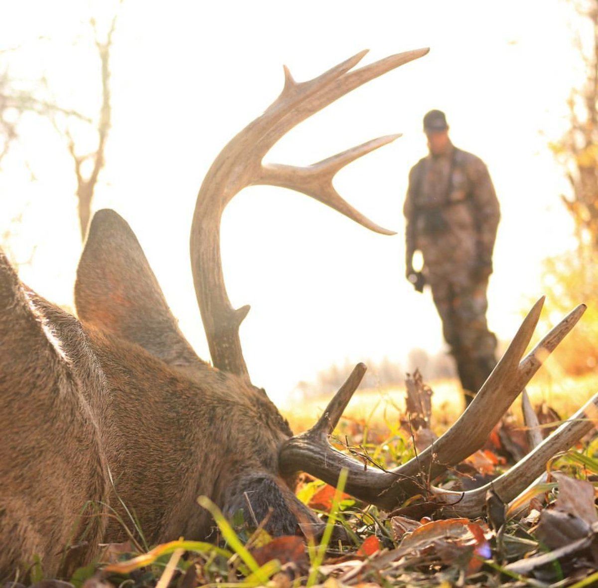 Only 4 months and some change til' #deer season!!
#legendarycalls #mathews #carbontv #ozonics #hunt #film #whitetail #oeknives