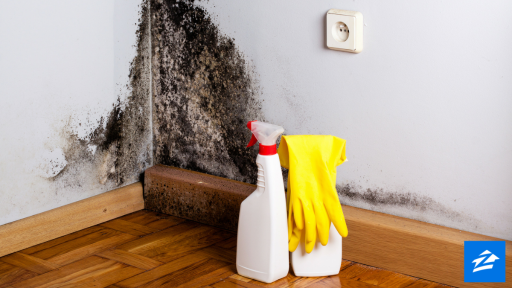 zillow's tweet photo. 5 ways your home can potentially harm you, and expert advice on keeping your household safe: https://t.co/xAaDGqrLxK https://t.co/O6CXqST0Ne