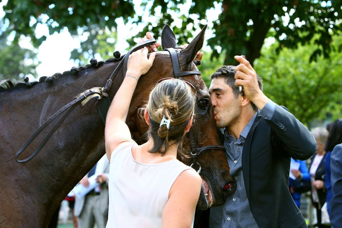 Jour_de_Galop's tweet photo. 📸 [ Retour en images sur un week-end à Auteuil riche en #Emotions #Sensations #Ambiance ] @francegalop @EpiqE https://t.co/ktoTXHGxU9