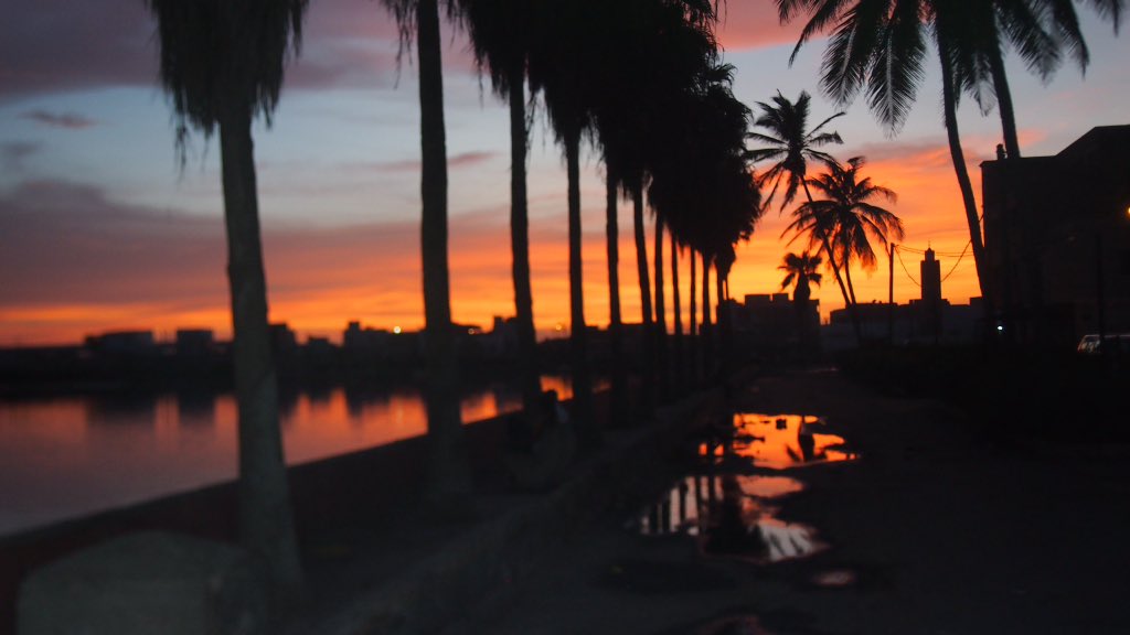 fily_fall's tweet photo. St. Louis, Senegal 📍 https://t.co/71dmPpIOJV