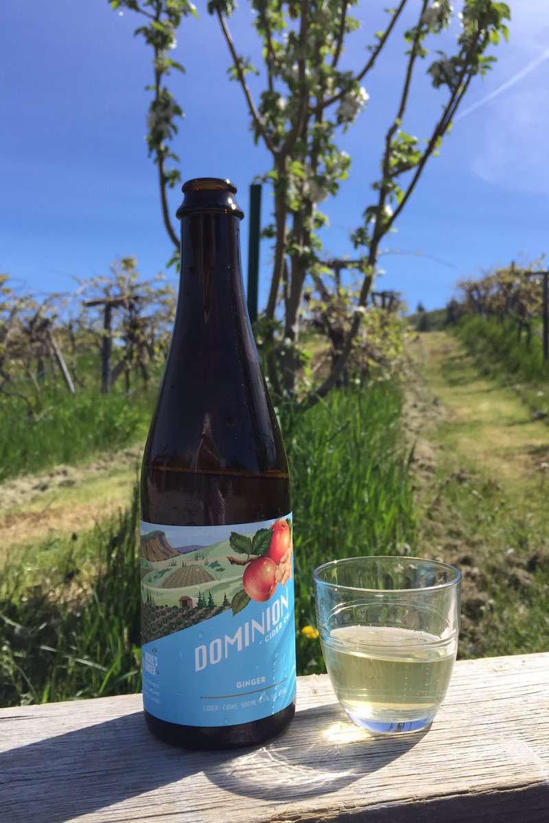 Dominion Cider (@dominioncider) on Twitter photo Freshly bottled Collab Ginger Cider with <a href="/DickiesGinger/">Dickie's Ginger</a> at our tasting room 11am-5pm today&tomorrow! #bccraftcider Freshly bottled Collab Ginger Cider with <a href="/DickiesGinger/">Dickie's Ginger</a> at our tasting room 11am-5pm today&tomorrow! #bccraftcider