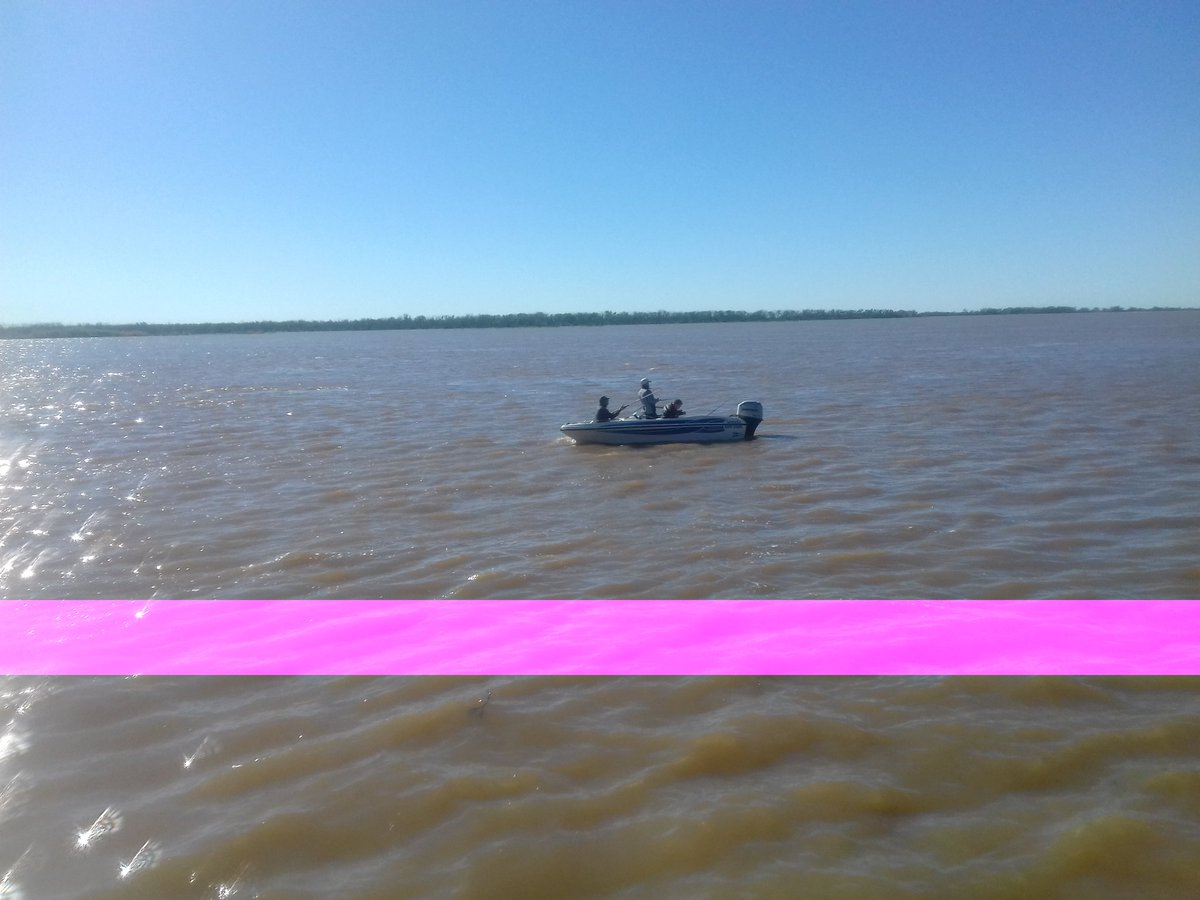 vivaalAIRELIBRE's tweet photo. Felicitaciones #PuebloEsther #SantaFe #PescaVariada con 65 lanchas @chamigoayalita @jadellamonica https://t.co/tqw51CHvWu