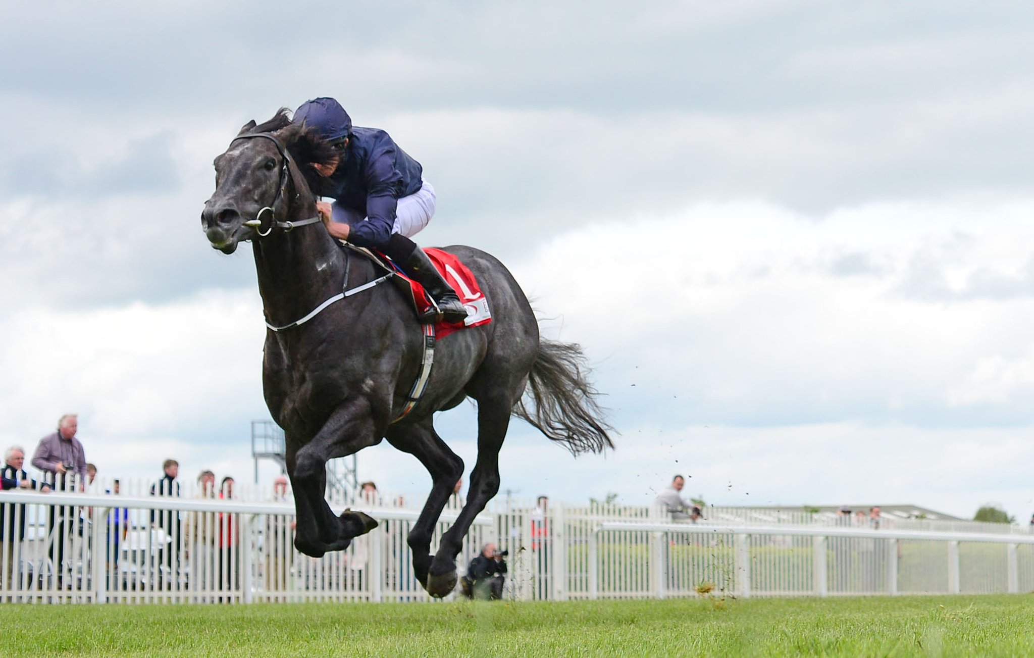 Image result for Caravaggio royal ascot