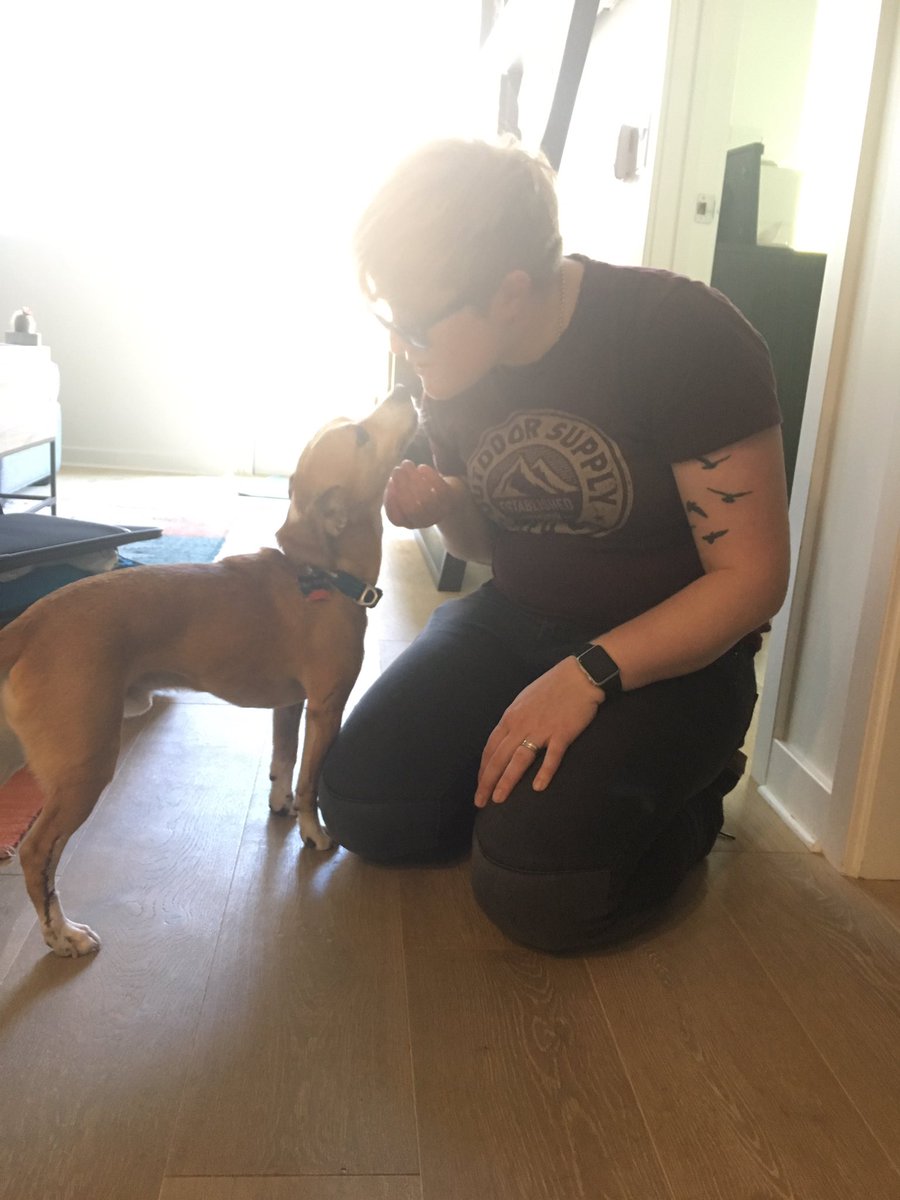 macshawthedog's tweet photo. Yay! @allisonacs is home! https://t.co/qgDmvjvh0Y