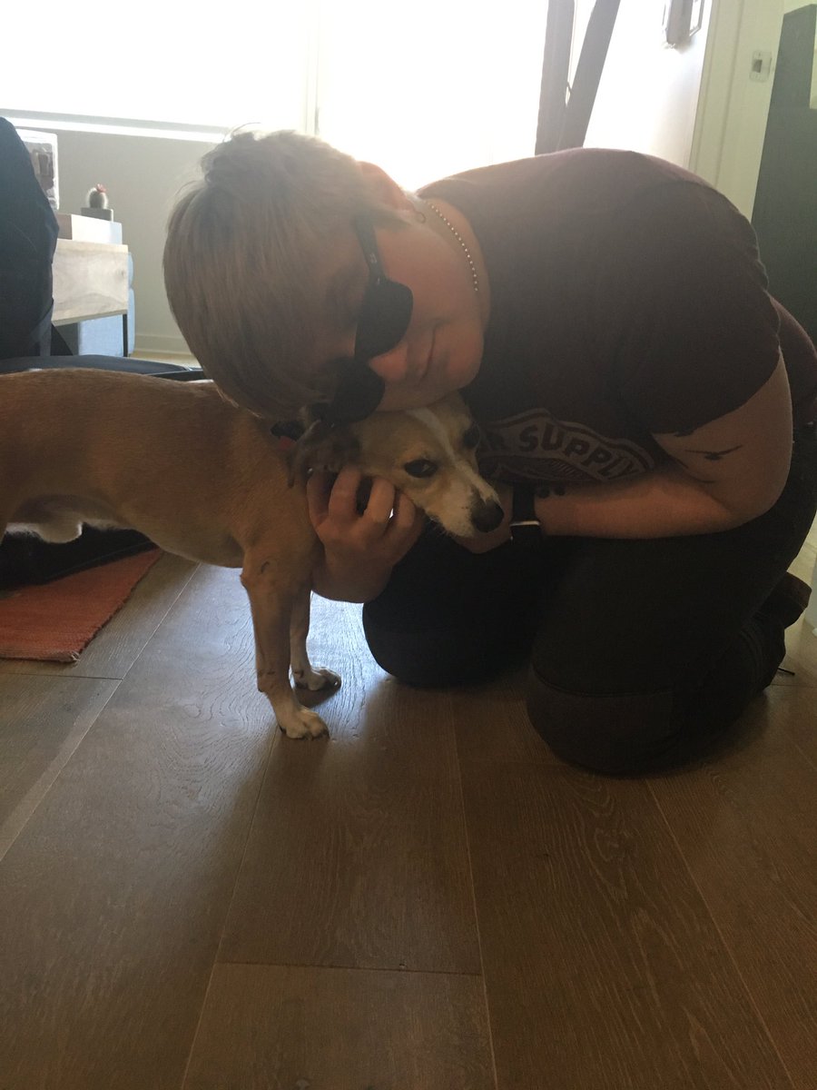 macshawthedog's tweet photo. Yay! @allisonacs is home! https://t.co/qgDmvjvh0Y