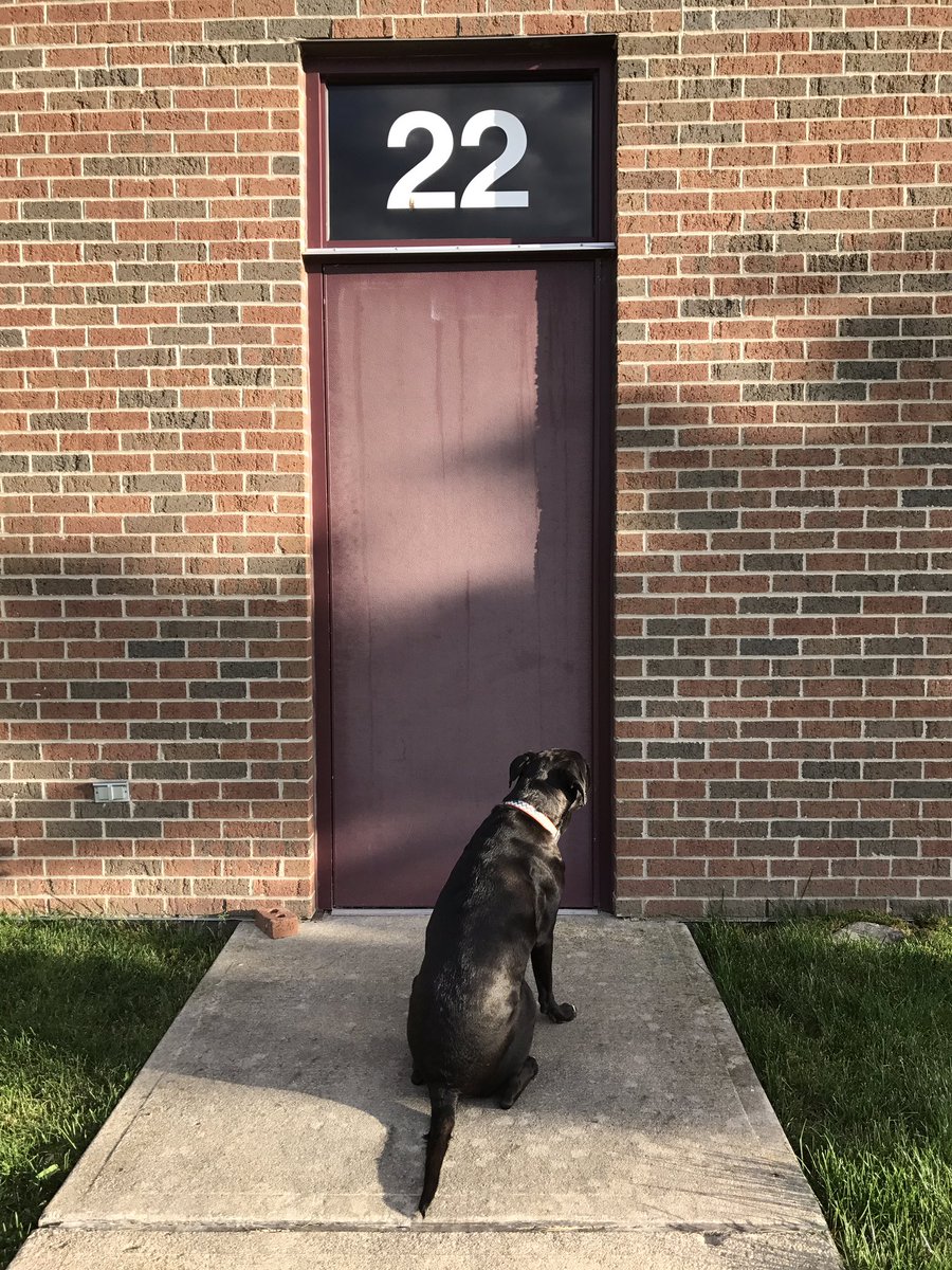 chuckthedog's tweet photo. Where's my friend? https://t.co/th6Xl3iuJB