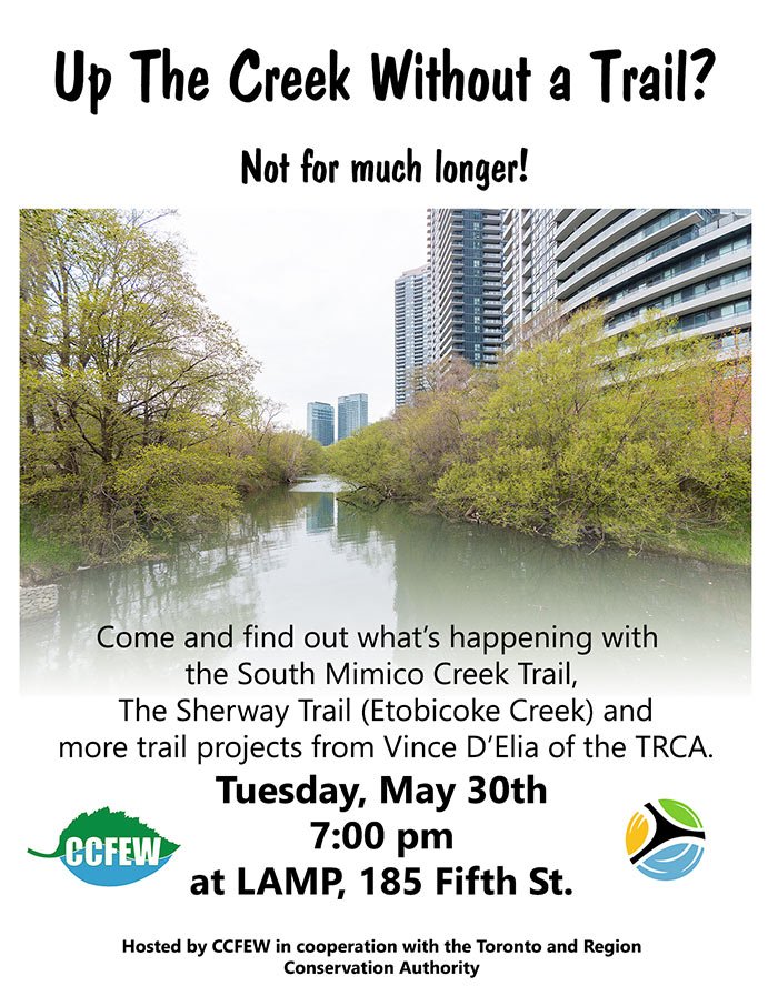 ccfew's tweet photo. Wondering what's going on with the South Mimico Creek Trail and other trail projects? Come find out: May 30th, 7pm. https://t.co/FaFflTe6vF https://t.co/bQC0IO2JGZ