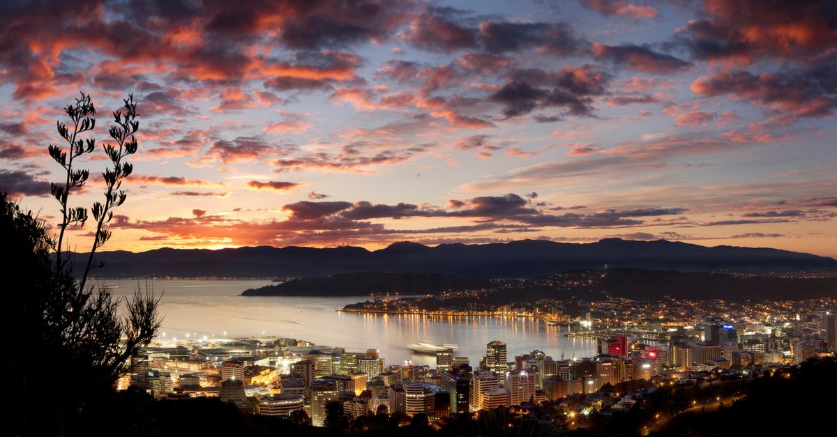 In town for #LookSeeWellington? Hit us up here for recommendations on the best places to eat, drink and be merry!