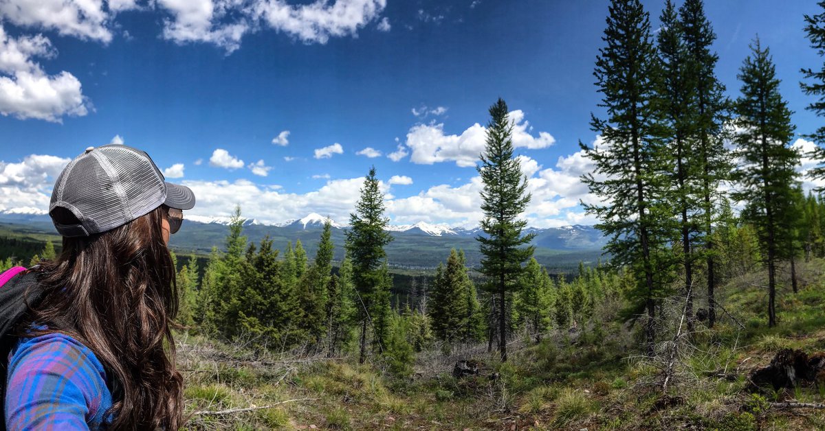 Amy_Savannah's tweet photo. #MontanaMoment #ChooseMontana #MTYES #hike #outdoors #SundayFunday #girl #nature #mountains #RealBeauty #backyard #sky #OptOutside #loveit https://t.co/N0xatGusI9