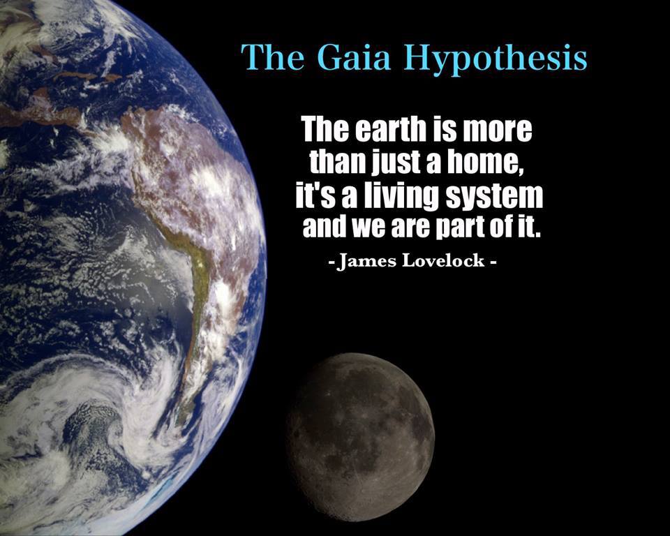 Gaia_Pedia's tweet photo. The #Gaia hypothesis was 1st developed by James Lovelock &amp; In 1971 microbiologist Dr. Lynn Margulis joined Lovelock. https://t.co/rftkczOsnR https://t.co/wzC1NSD0AQ