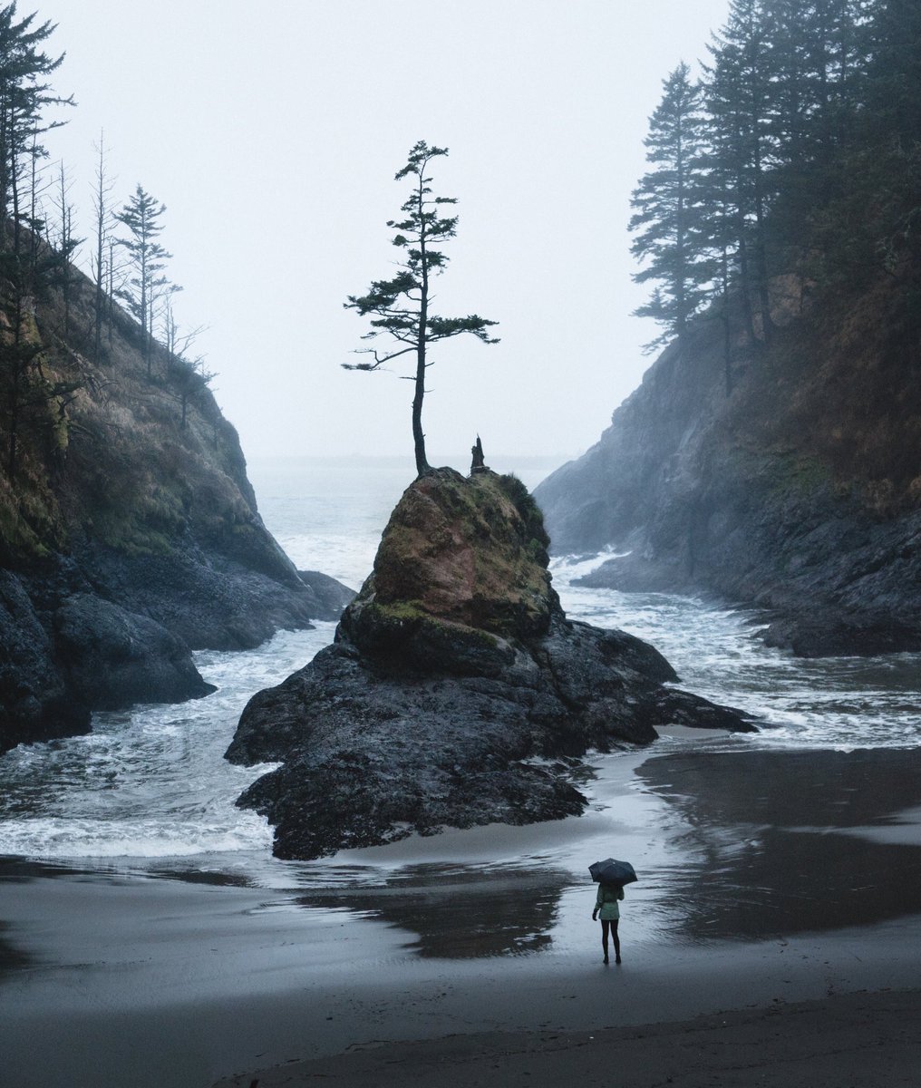 adventurful's tweet photo. Washington coast https://t.co/SZMl2Ybp9W