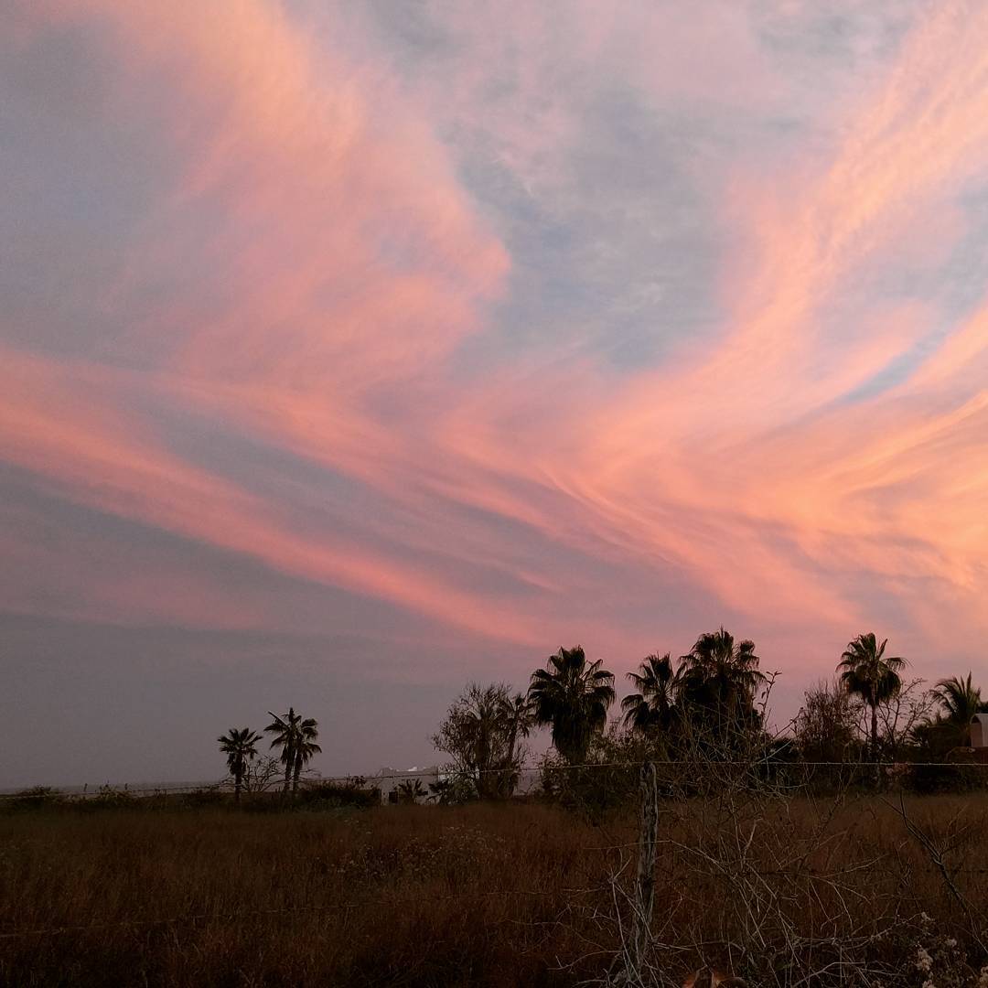 jazamango's tweet photo. La magia y belleza natural de #TodosSantosBCS es el contexto perfecto que te acompaña en tu visita a #Jazamango https://t.co/xAtHPueFdJ