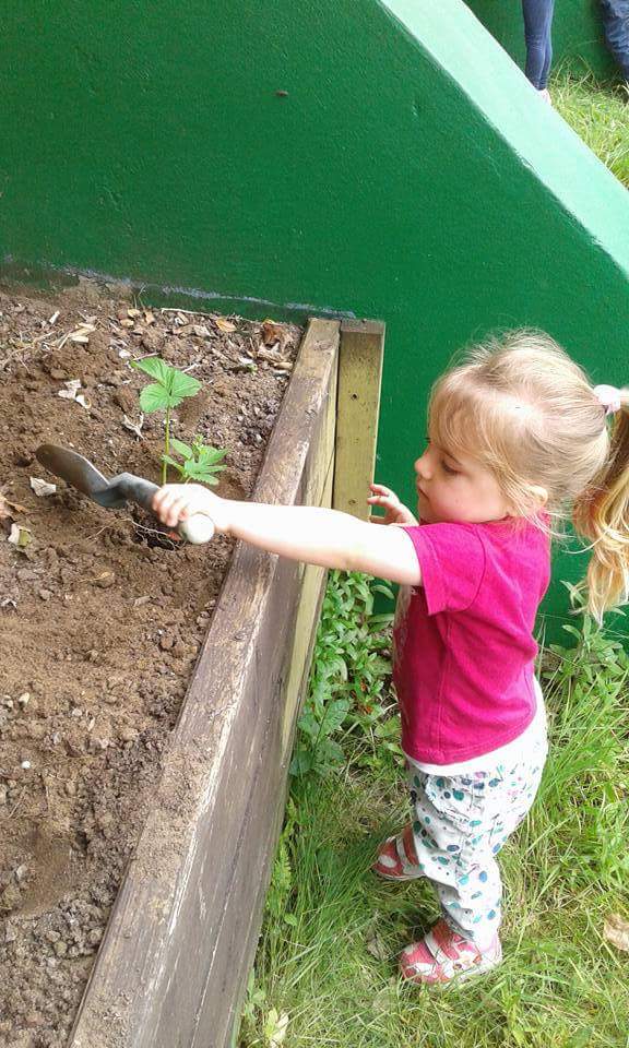 burleigh_house's tweet photo. The Preschoolers have been planting strawberries in the nursery garden! #growyourown #newfp https://t.co/ab10oAWhLM