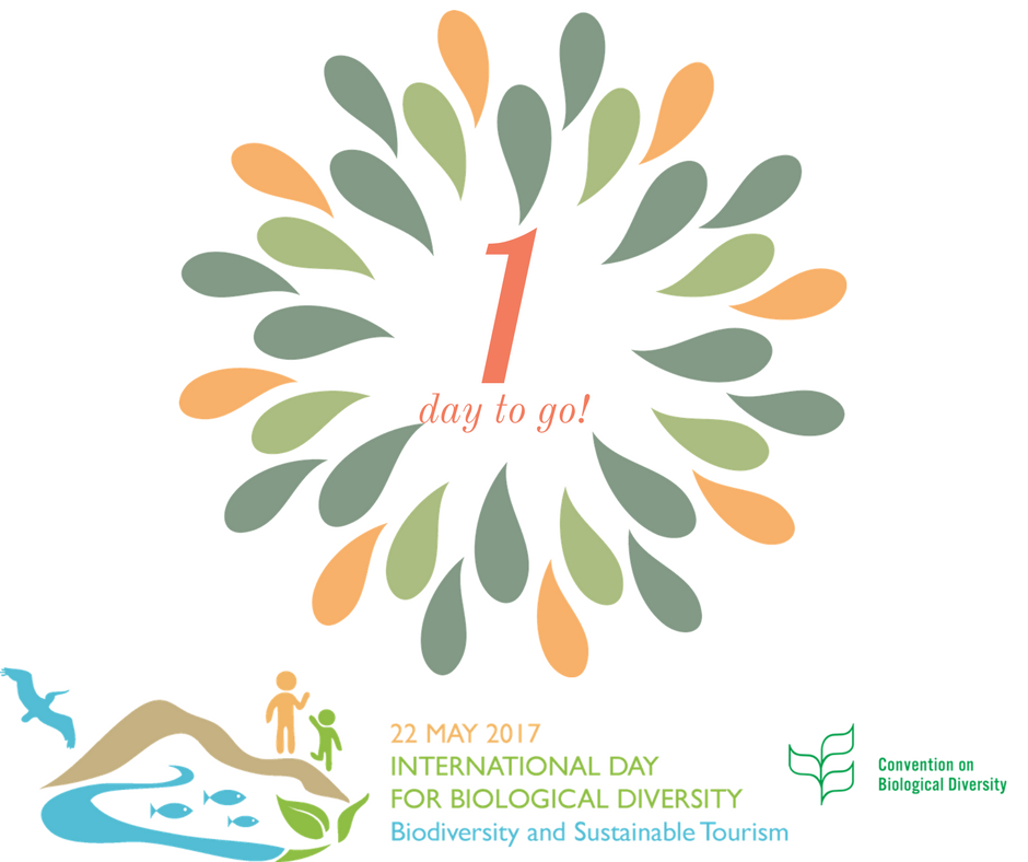 UNBiodiversity's tweet photo. Only 1 day until #IDB – 22 May. The theme is "Sustainable Tourism and Biodiversity". Join the conversation at: https://t.co/ija2wqJb7y https://t.co/4n4gGIte33